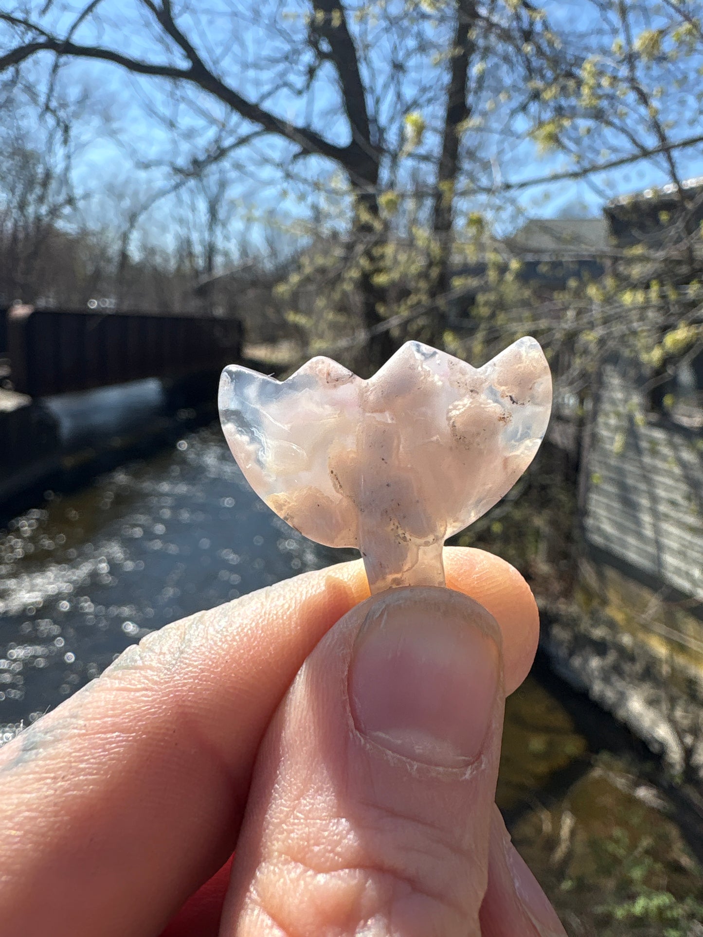 Flower Agate Tulip