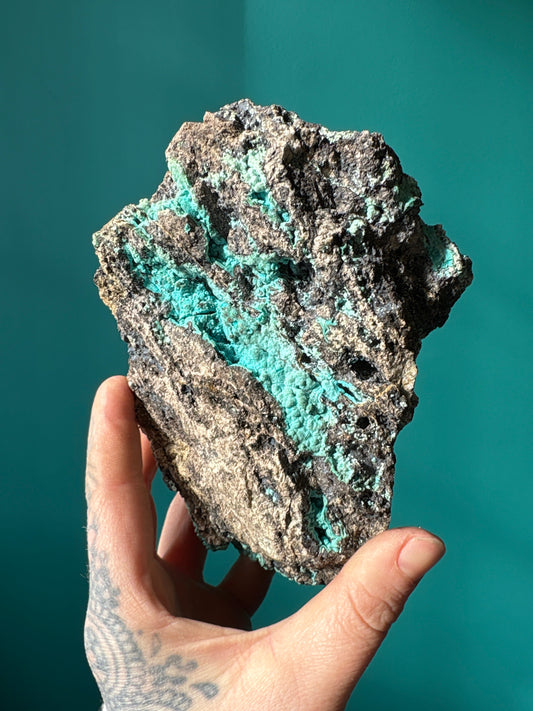 Hand holding raw hemimorphite crystal with turquoise and brown hues against teal background without metal stand