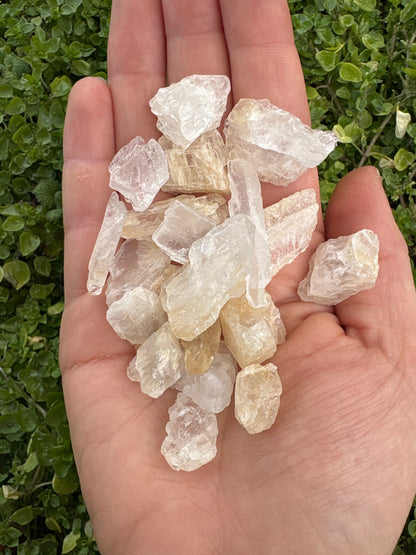 hand holding multiple raw petalite stones with greenery background