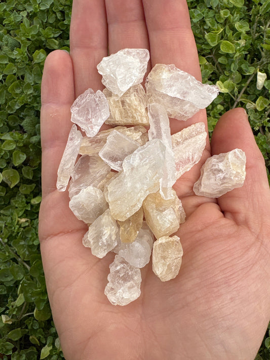Hand holding multiple raw petalite stones with translucent and pale colors against a green leafy background