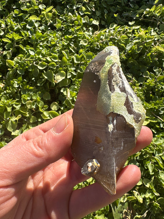 Hand holding a fluorescent smokey hyalite mineral with natural greenish and smoky hues against a leafy background