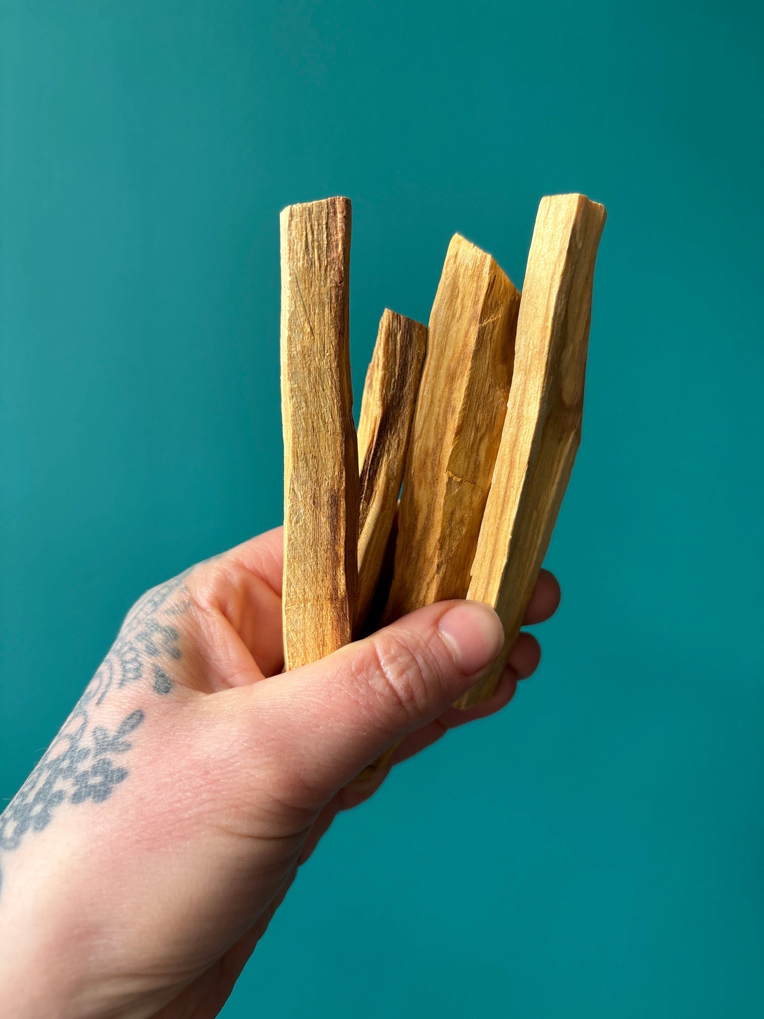 Hand holding several sustainably sourced Palo Santo sticks against teal background