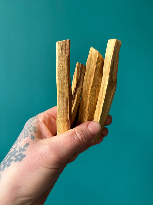 Hand holding several sustainably sourced Palo Santo sticks against teal background