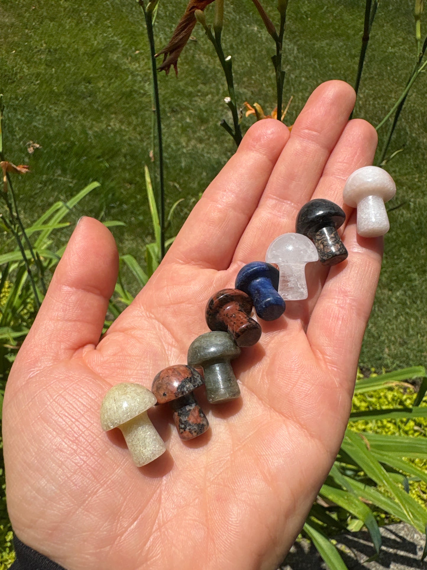 Mini Crystal Mushroom