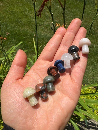 Mini Crystal Mushroom