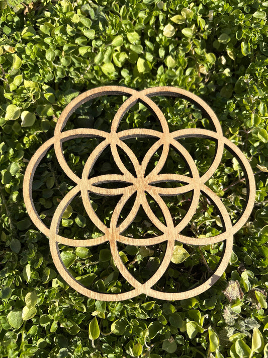 Handmade seed of life grid made from reclaimed wood placed on green foliage backdrop
