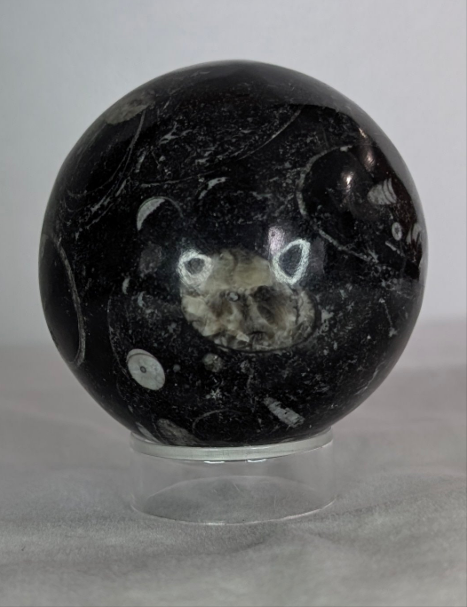 Orthoceras Sphere