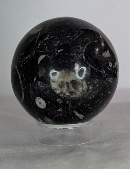 Orthoceras Sphere
