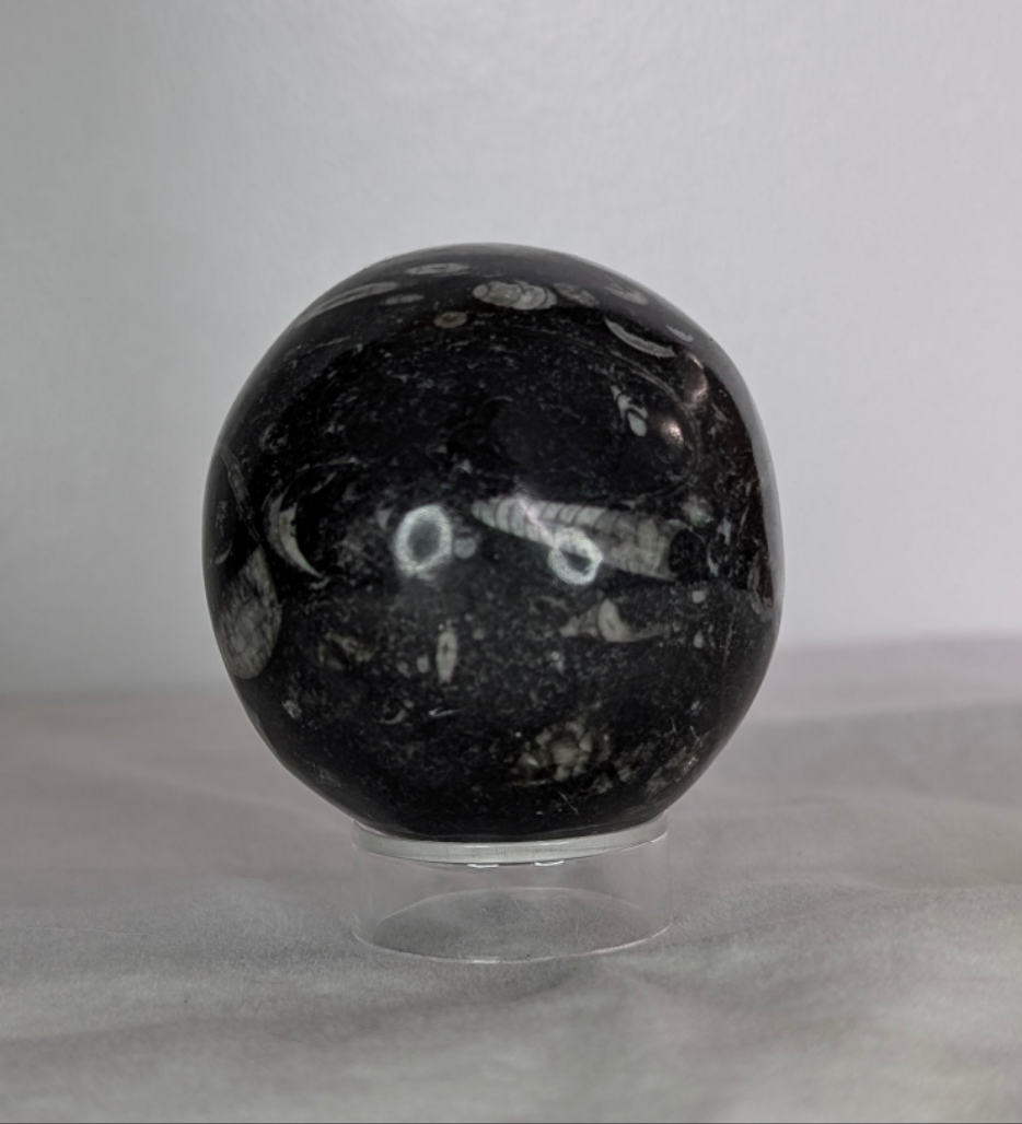 Orthoceras Sphere