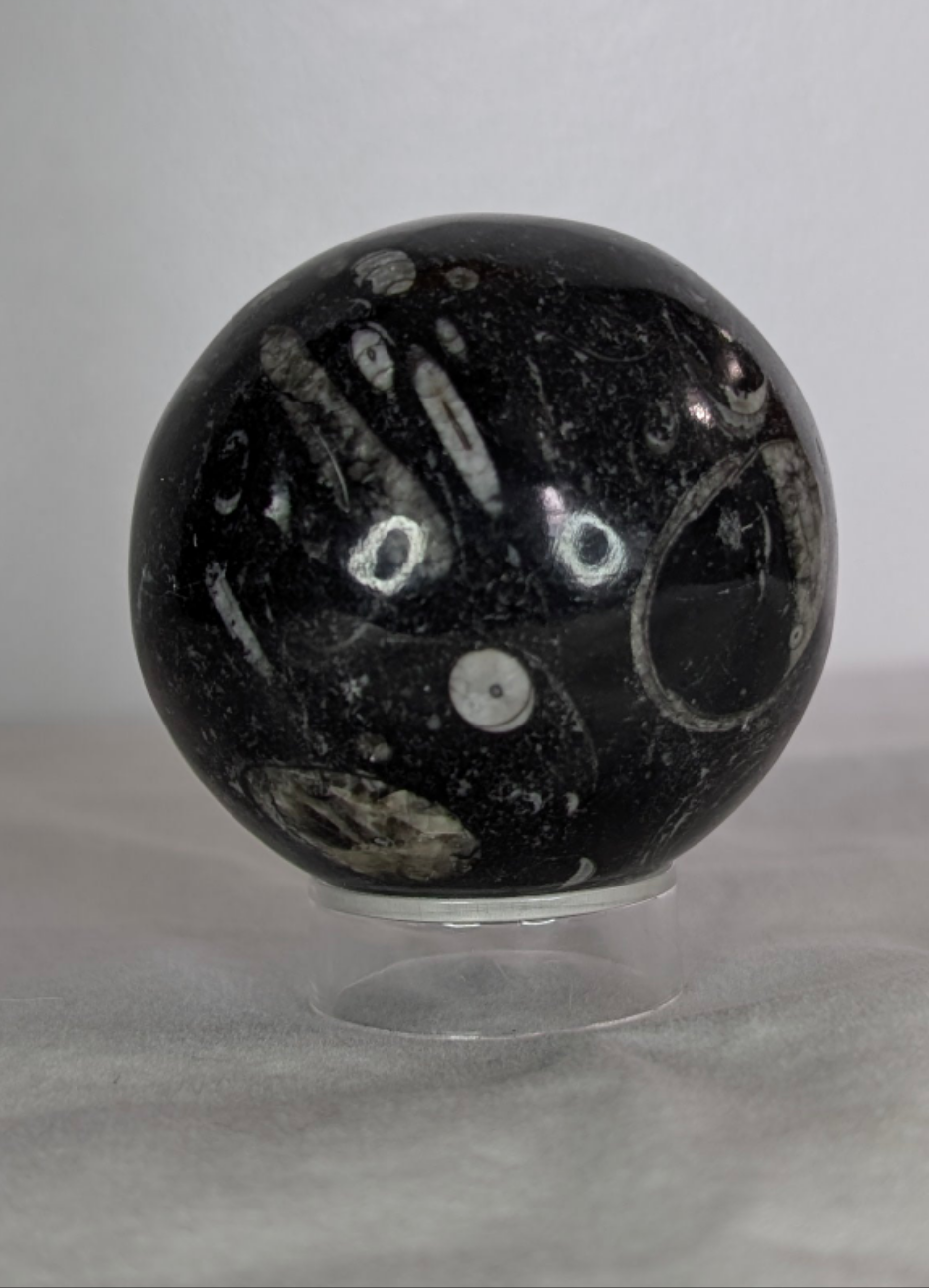 Orthoceras Sphere