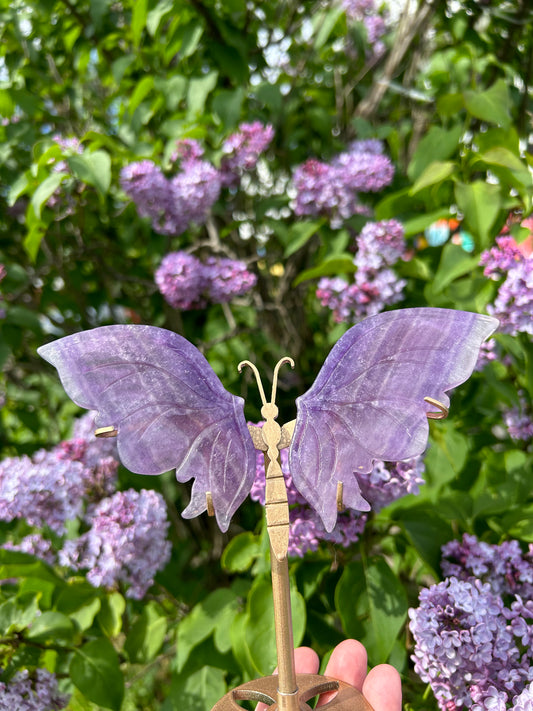Butterfly Wing Fluorite with stand