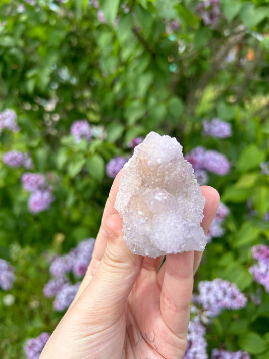 Hand holding a lavender spirit quartz crystal with purple flowers in the background