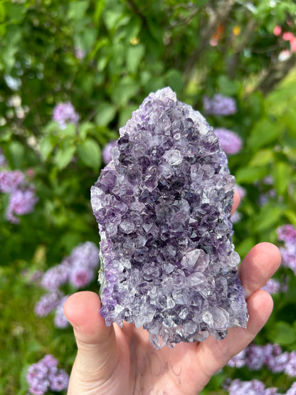 **Cluster Amethyst