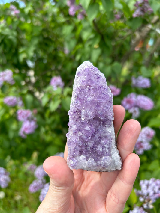 Hand holding a natural purple amethyst chunk crystal cluster outdoors with greenery and purple flowers in the background
