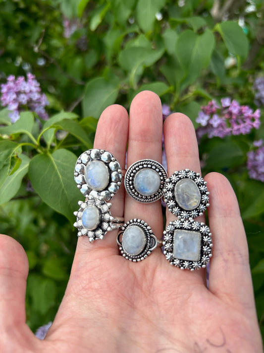 Hand displaying five sterling silver plated brass moonstone rings against green foliage background