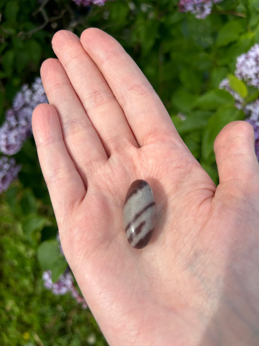 Close-up of a polished oval Shiva Lingam stone held in a person's hand against a green foliage background for spiritual pendant use