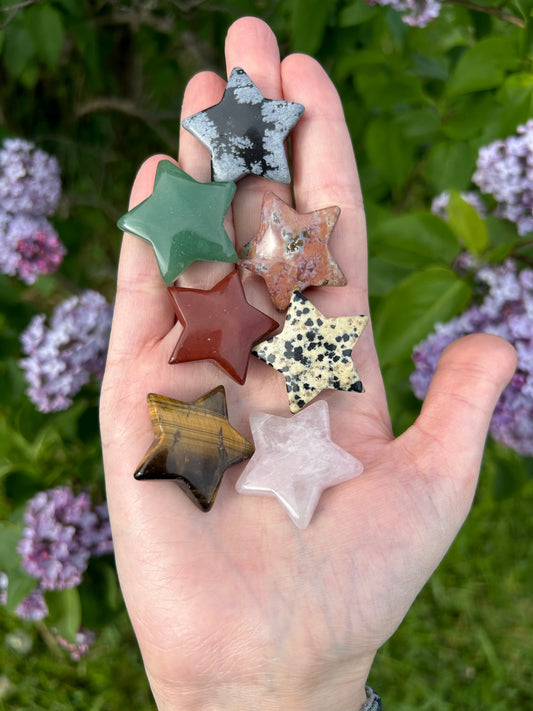 Hand holding assorted star-shaped crystal carvings including jasper, aventurine, rose quartz, and tiger's eye against a background of green foliage and purple flowers.