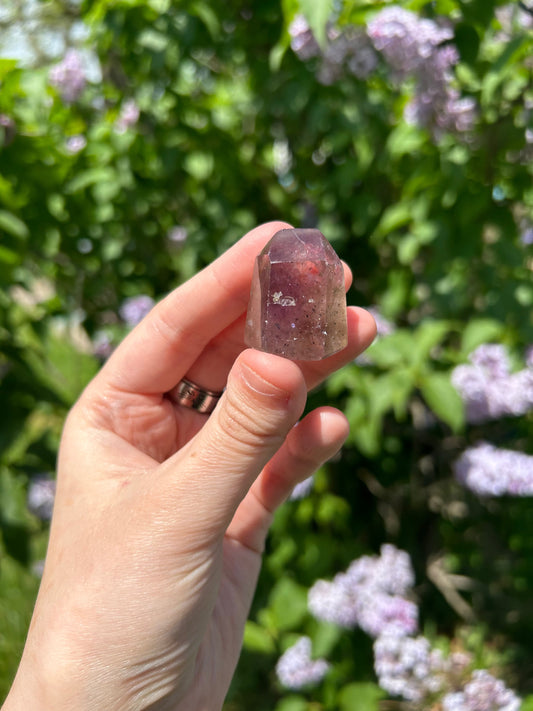 Hand holding a small polished Mini Amethyst Point crystal outdoors with green leaves and purple flowers in the background