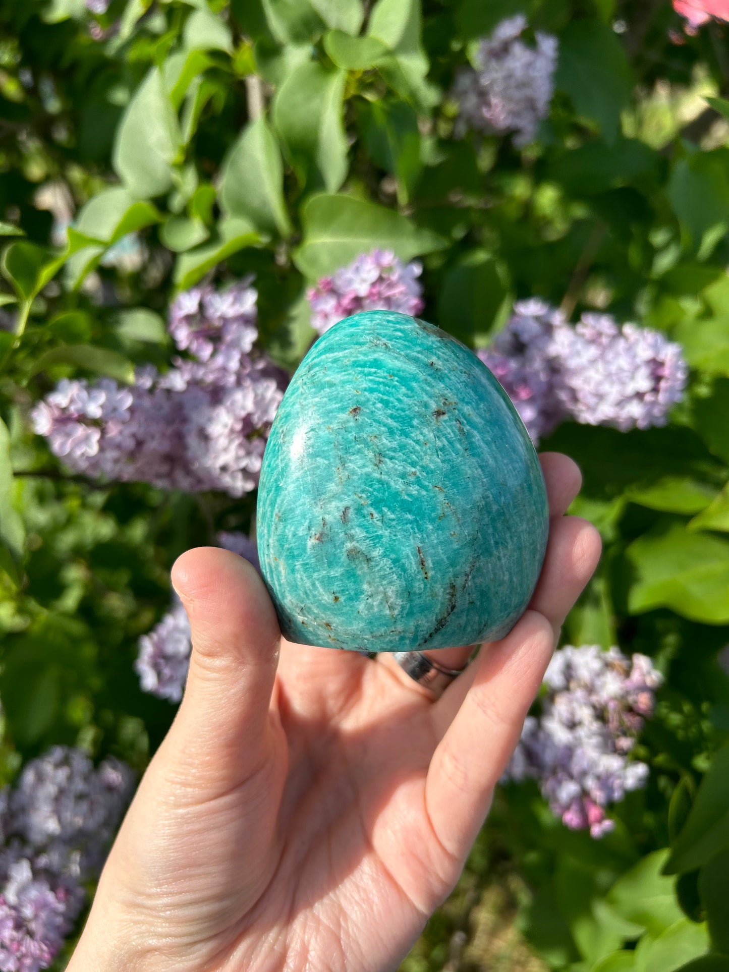 Hand holding a smooth amazonite freeform stone with lilac flowers and green leaves in the background