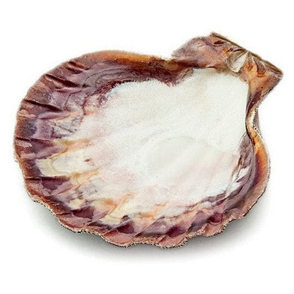 Natural lion’s paw shell with brown and white tones, used as a smudge stick or jewelry holder