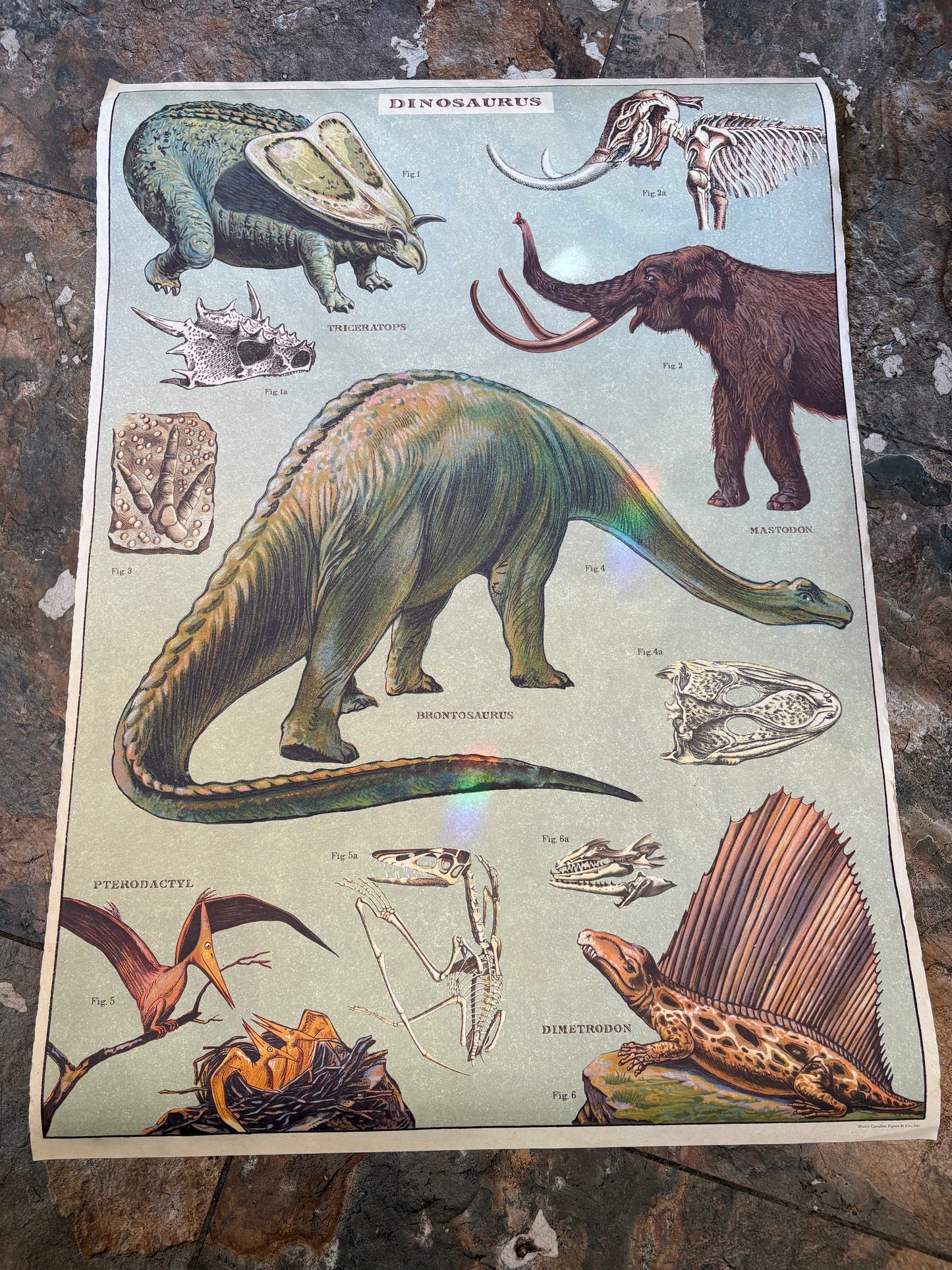 Vintage Dinosaur Poster