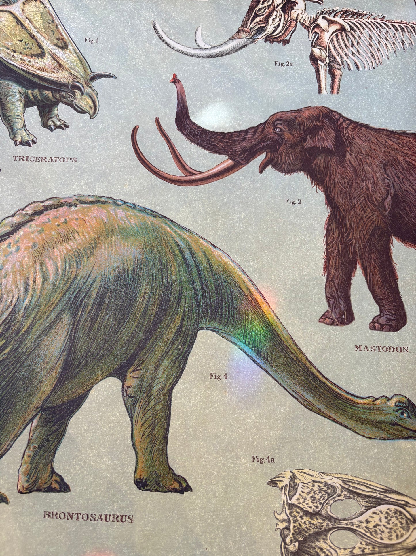 Vintage Dinosaur Poster