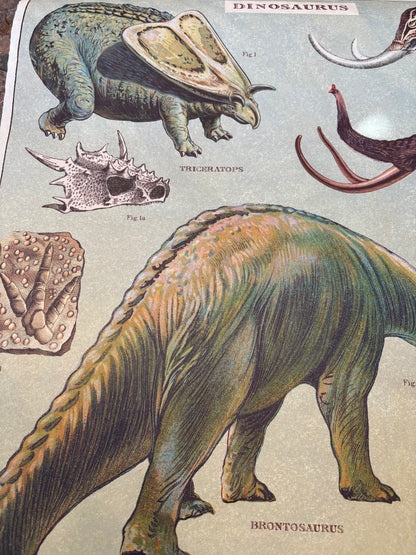 Vintage Dinosaur Poster