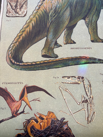 Vintage Dinosaur Poster