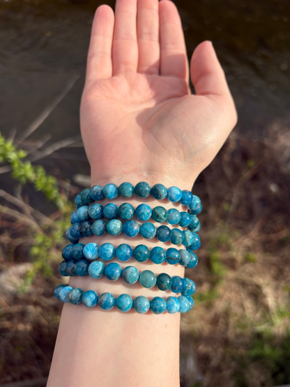 Apatite 8mm Bracelet
