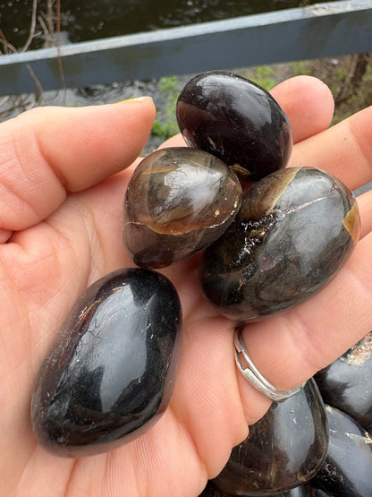Natural Polished Amber