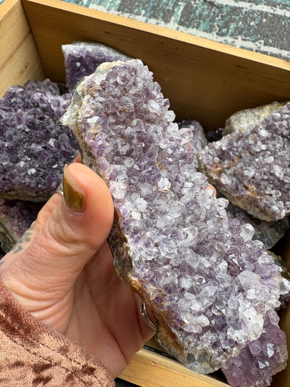 Amethyst Cluster - 3-5"