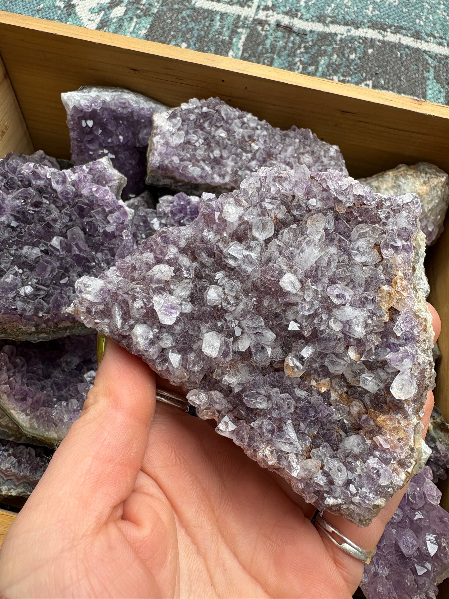 Amethyst Cluster - 3-5"