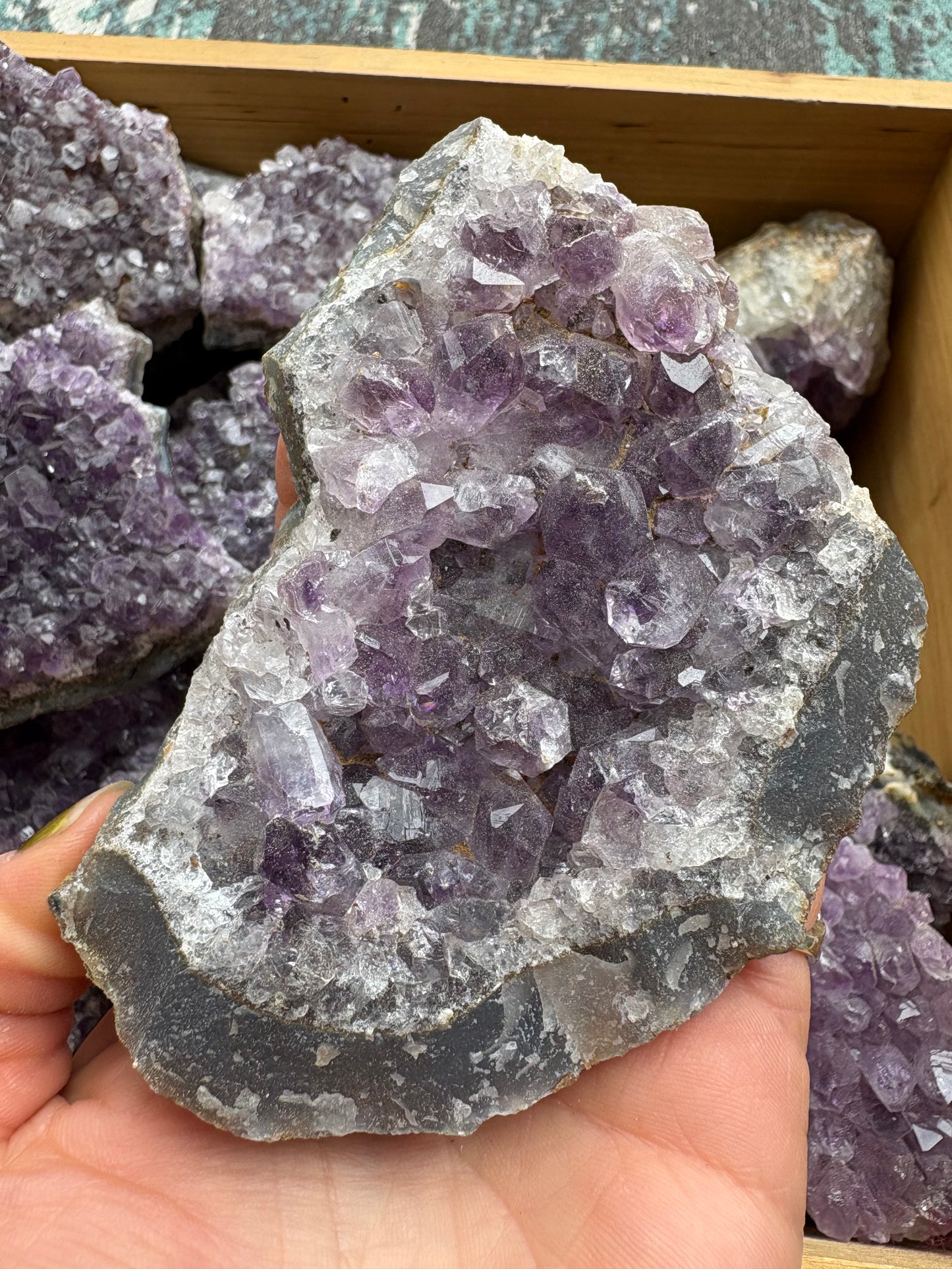 Amethyst Cluster - 3-5"