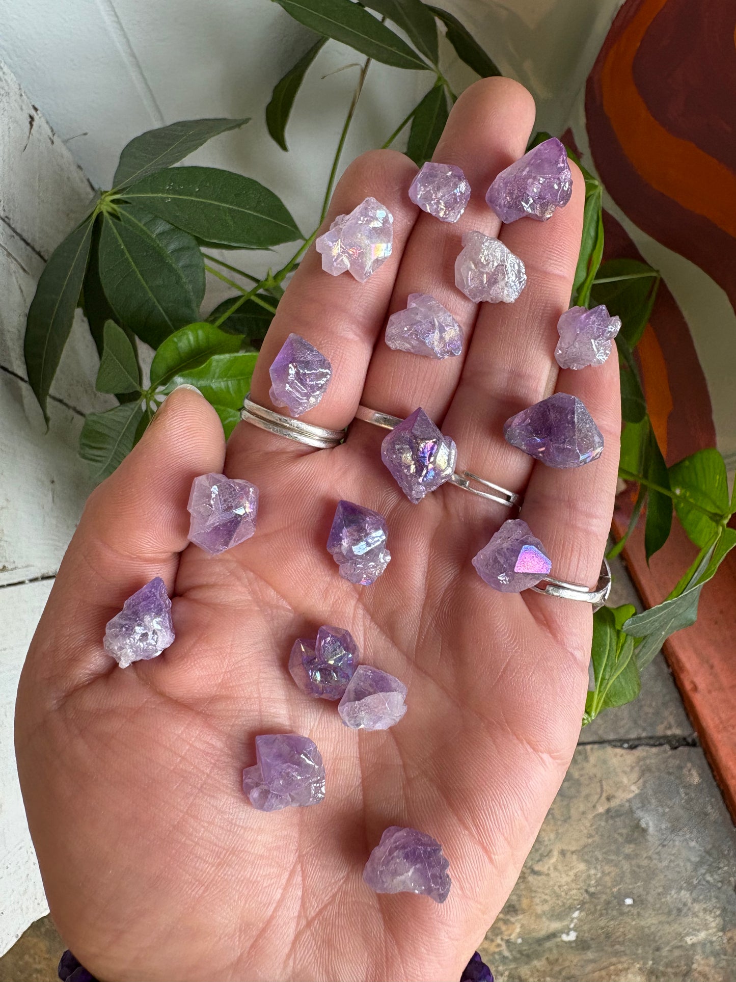 Amethyst Flower Aura Quartz