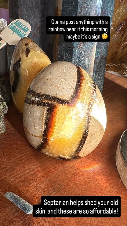 Septarian Freeform