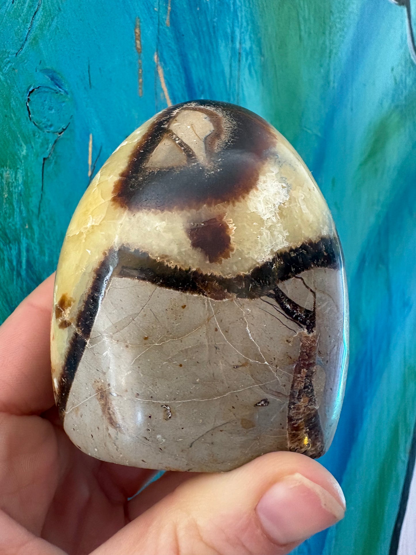 Septarian Freeform