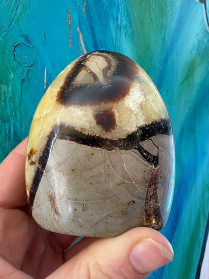 Septarian Freeform