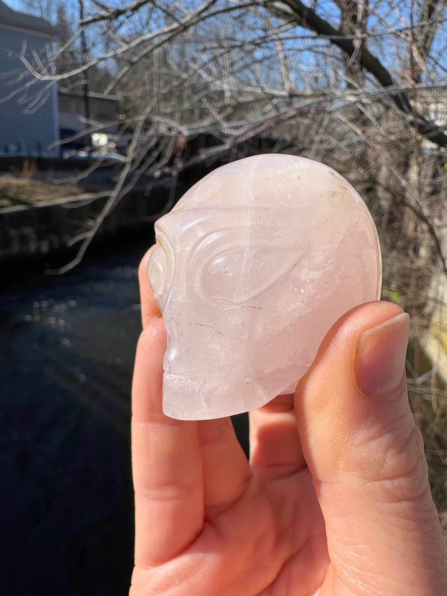 Alien Skull Carving in Rose Quartz