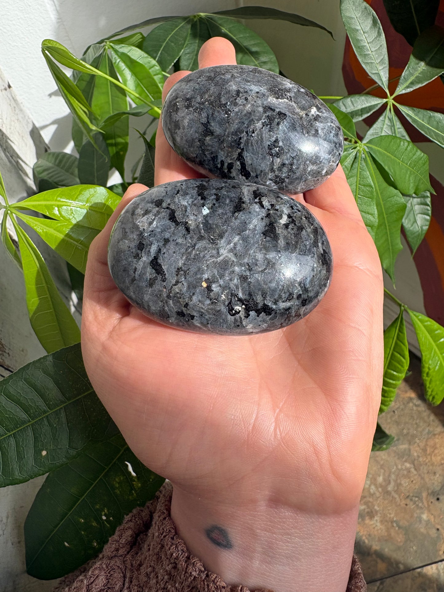 Larvikite Palm Stone