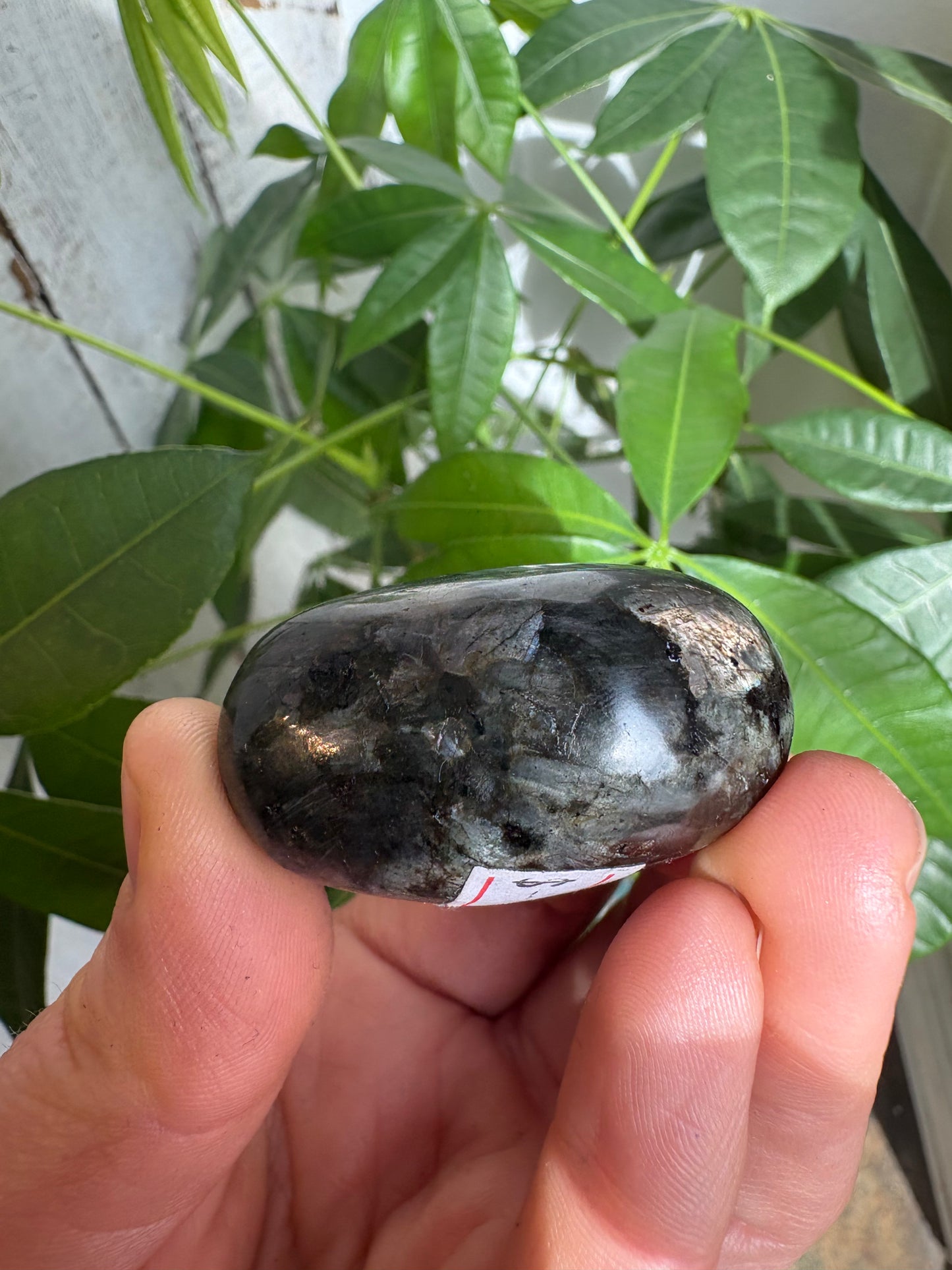 Larvikite Heart