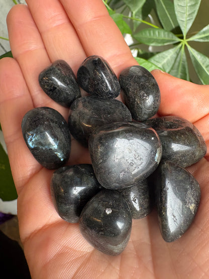 Larvikite Tumble