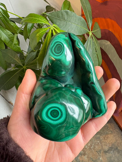 Malachite Freeform – Hand-Polished | Deep Green Crystal for Heart Chakra Healing & Transformation