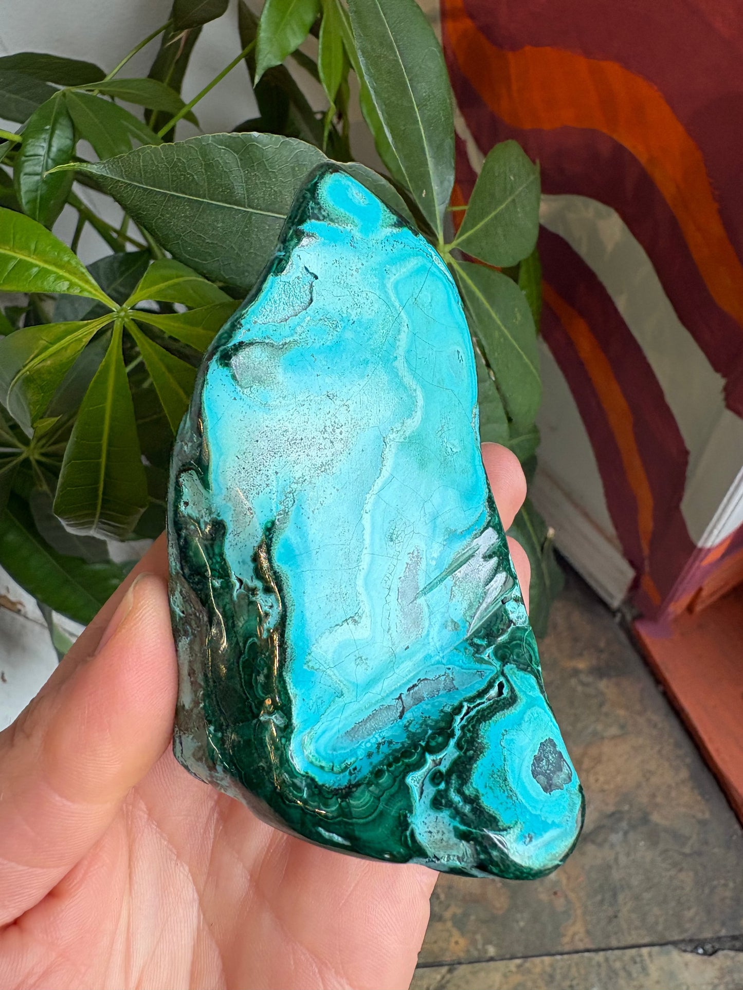 Malachite Freeform – Hand-Polished | Deep Green Crystal for Heart Chakra Healing & Transformation