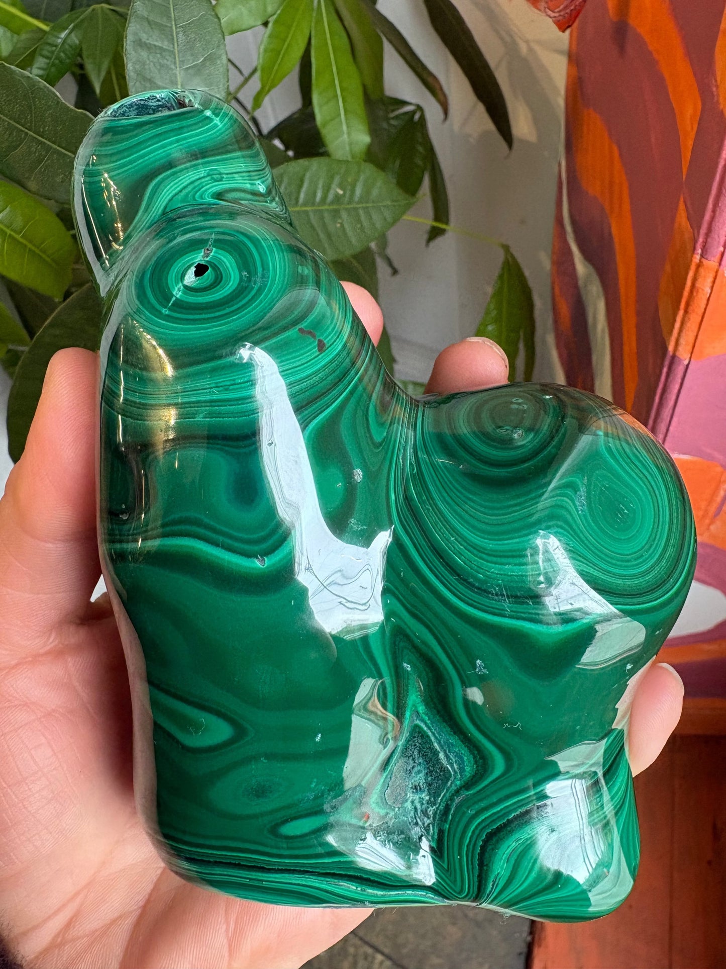 Malachite Freeform – Hand-Polished | Deep Green Crystal for Heart Chakra Healing & Transformation