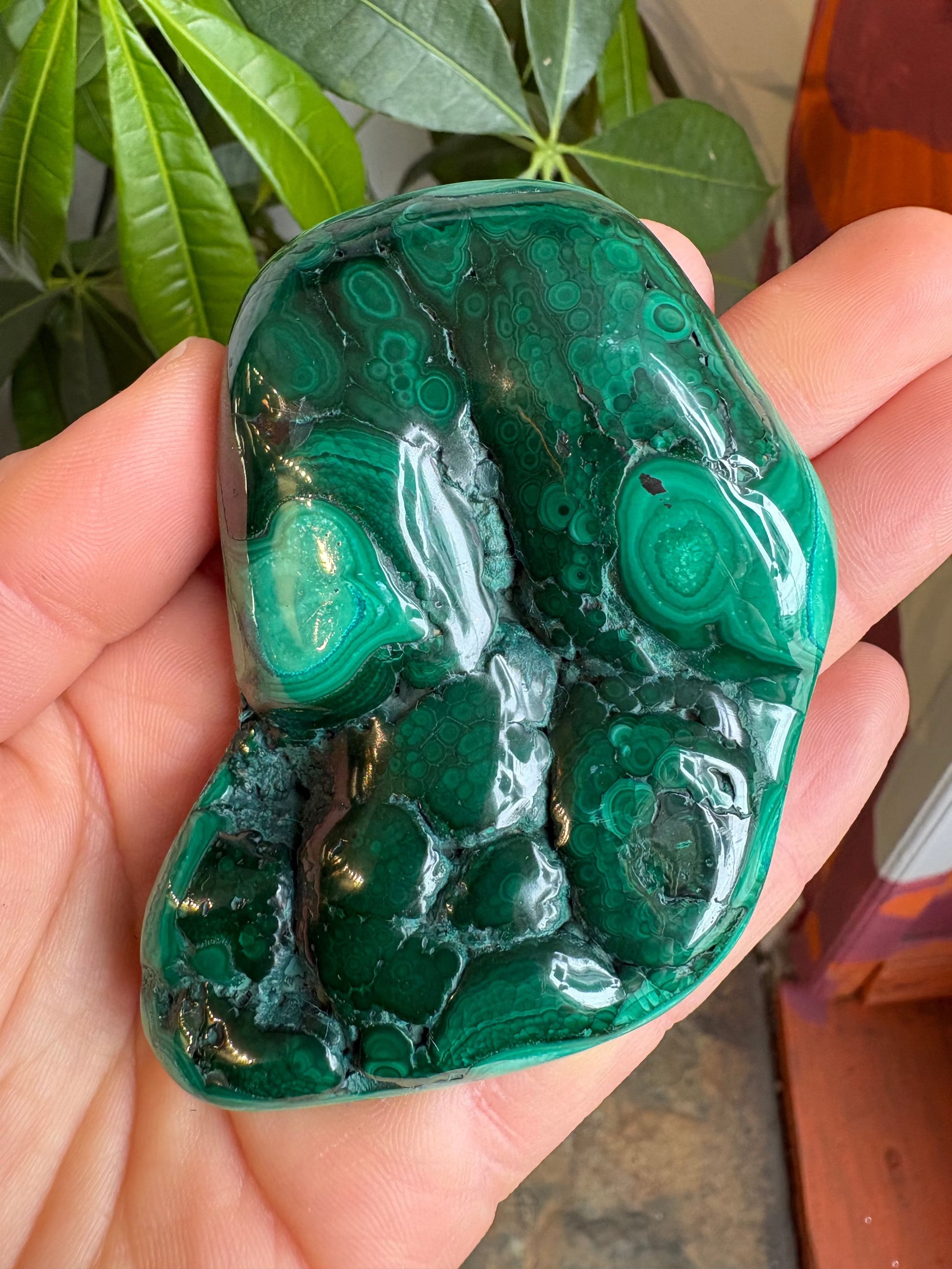 Malachite Freeform – Hand-Polished | Deep Green Crystal for Heart Chakra Healing & Transformation