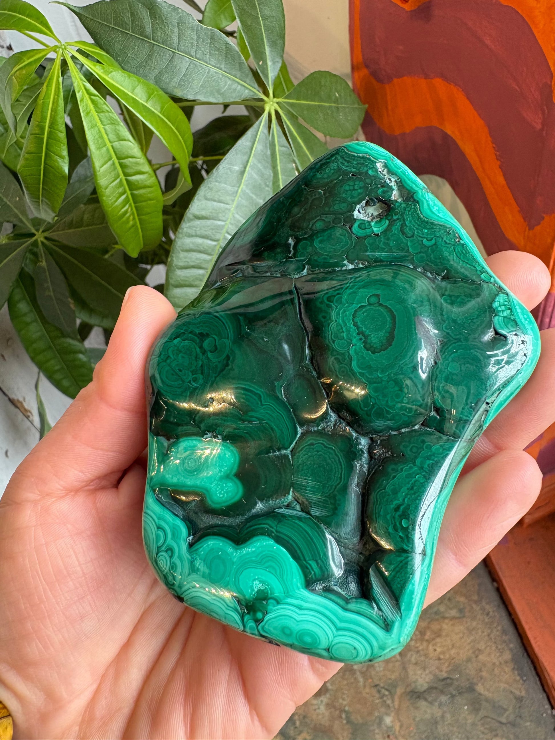 Malachite Freeform – Hand-Polished | Deep Green Crystal for Heart Chakra Healing & Transformation
