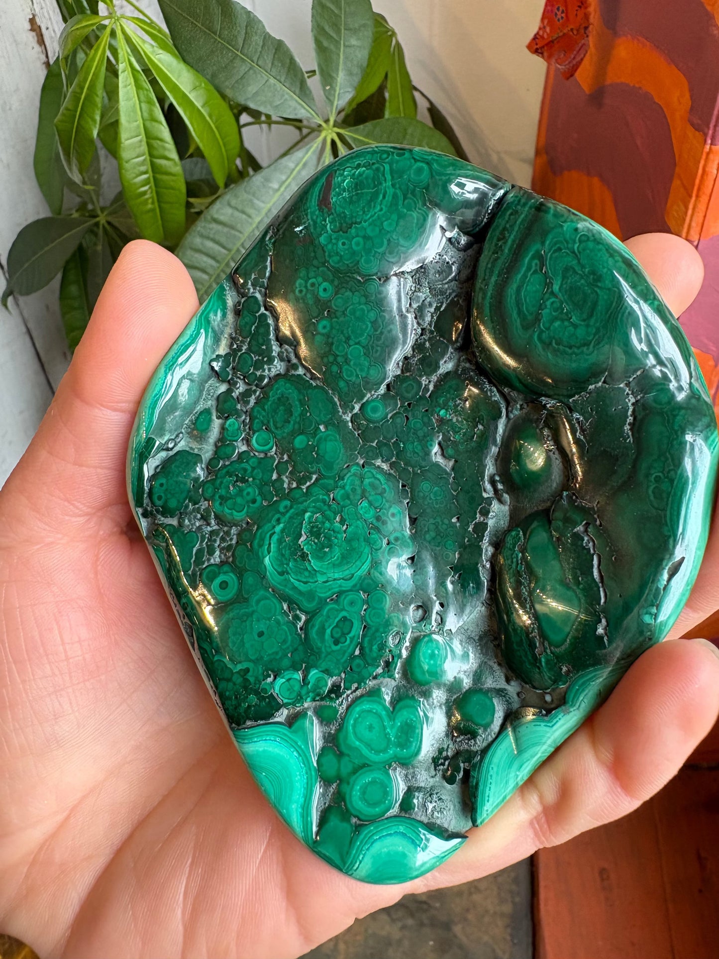 Malachite Freeform – Hand-Polished | Deep Green Crystal for Heart Chakra Healing & Transformation