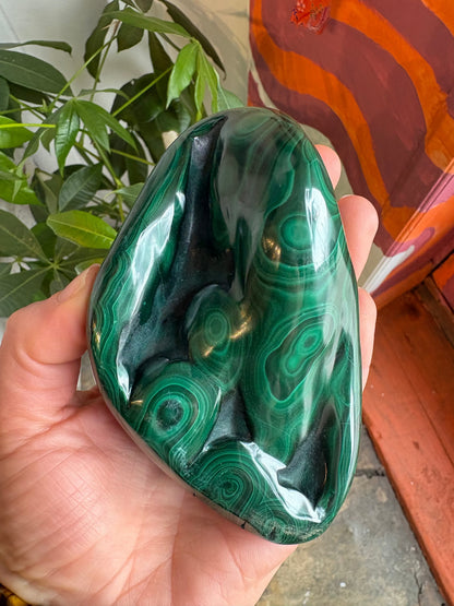 Malachite Freeform – Hand-Polished | Deep Green Crystal for Heart Chakra Healing & Transformation