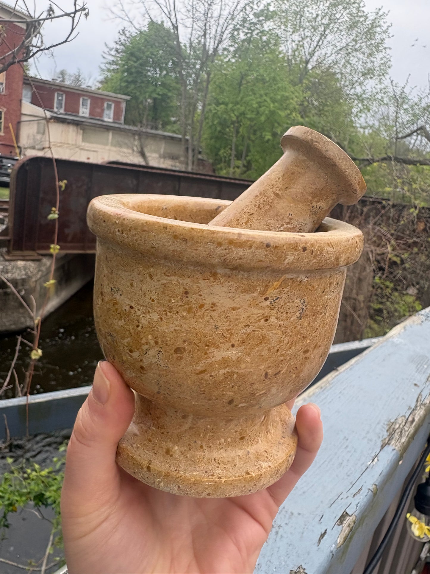 Fossil Stone Mortar and Pestle – Natural Carved Grinding Bowl for Herbs & Ritual Use