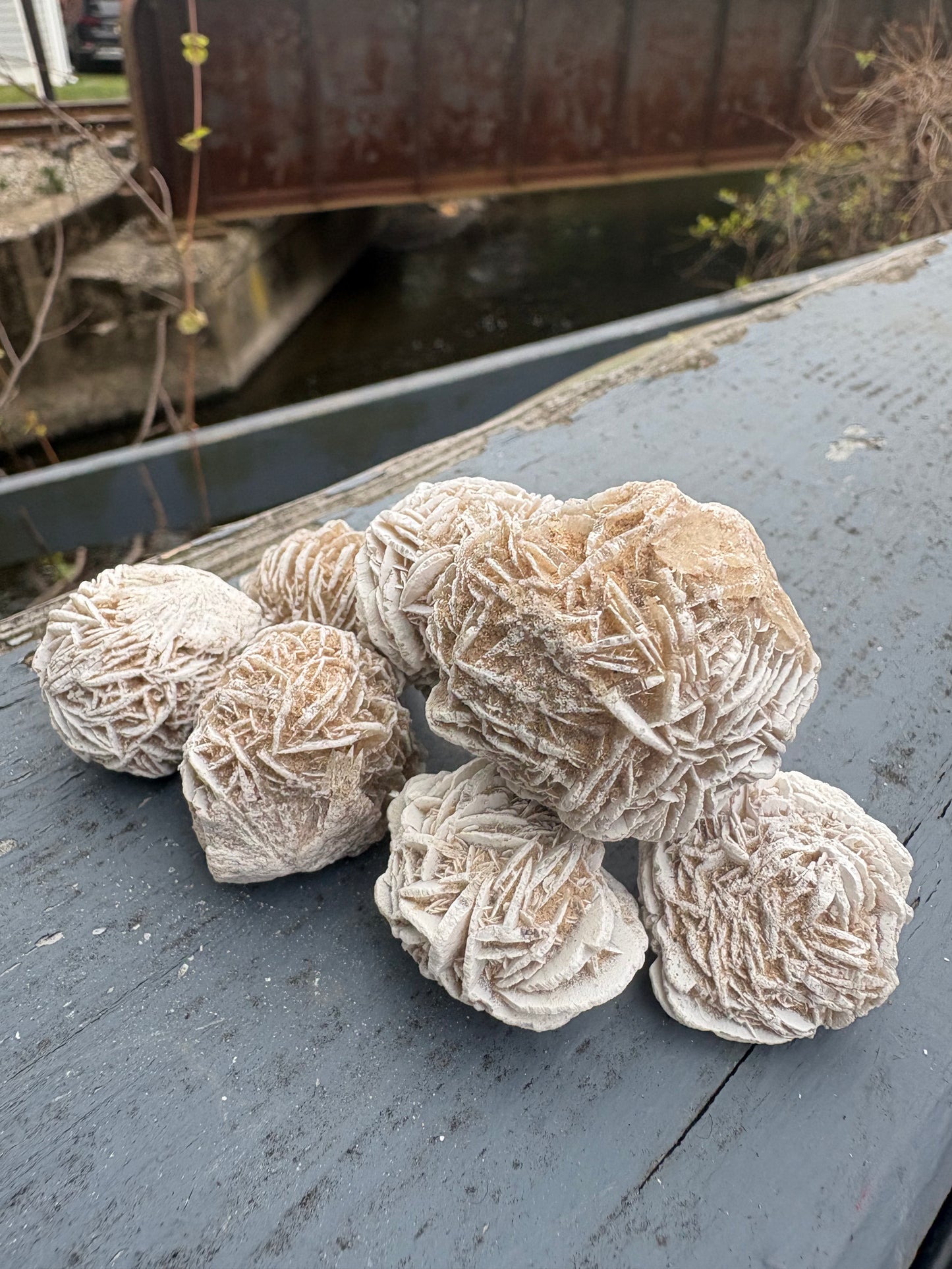 Desert Rose Selenite – Natural Gypsum Crystal Formation for Cleansing & Protection